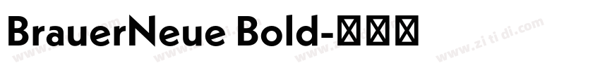 BrauerNeue Bold字体转换